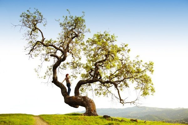 ανθρωποκεντρική